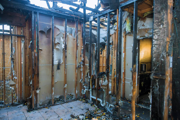 Professional Smoke Odor Removal technician working in Ashton, MD
